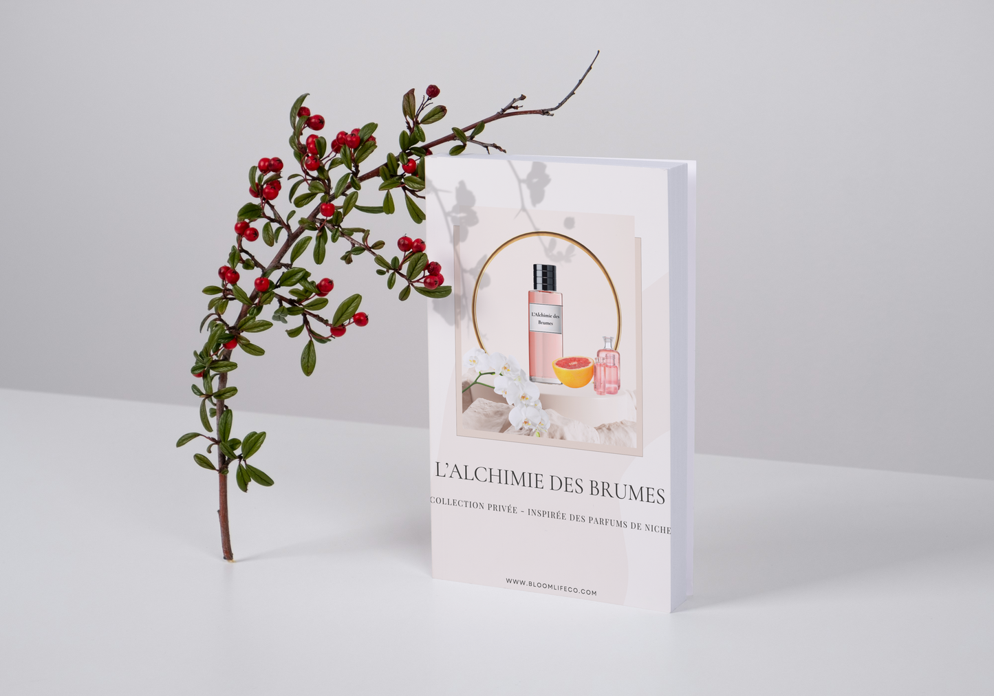 L'Alchimie des Brumes – Collection Privée